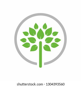 Leaf tree logo design template vector illustration