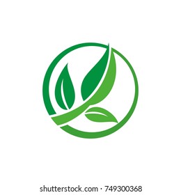 Leaf tree logo design template, designed based on vector formats 