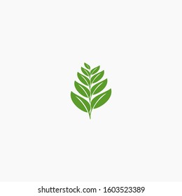 leaf tree logo simple premium