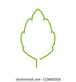 leaf of a tree in a minimalist style - Powered by Shutterstock - Get 15% off with code: PIKWIZARD15