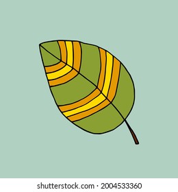A leaf of a tree with a pattern. Plant. Vector. Doodle. Hand-drawn illustration.