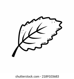Leaf of tree. Plant. Vector doodle illustration. Autumn drawing. Postcard decor element.