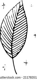 A leaf of a tree. A simple doodle illustration drawn by hand.