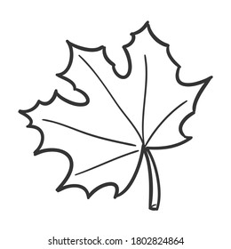 Leaf Tree Traditional Doodle. Icons Sketch Hand Made. Design Vector Line Art.