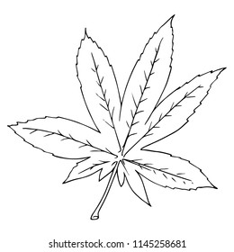 Leaf of the tree. Vector illustration of a falling leaf of a tree. Hand drawn tree leaf. Autumn leaf.