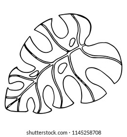 Leaf of the tree. Vector illustration of a falling leaf of a tree. Hand drawn tree leaf.