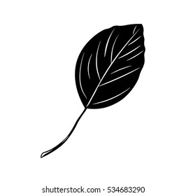 Leaf of tree. Vector Illustration Isolated on white background