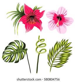 Leaf tropical bamboo and flowers set branch illustration isolated on white background