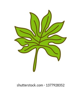 Leaf Tropical Design Illustration Template Vector