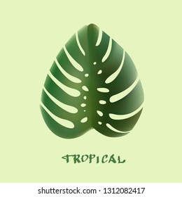 leaf tropical illustration, vector, drawing, lettering