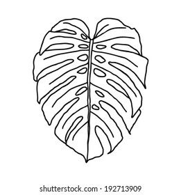 Leaf of tropical plant - Philodendron, vector illustration