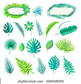 Leaf of tropical style collection, exotic leaves and flower of blue color, monstera and royal fern vector illustration isolated on white background