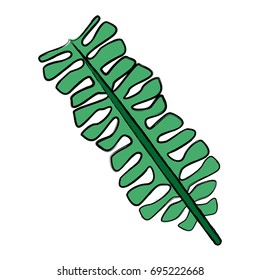 leaf of tropical tree large exotic forests