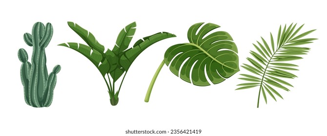 Leaf of tropics plants set vector illustration. Cartoon isolated green leaves botanic collection of coconut palm tree and banana branch, cactus and monstera leaf from tropical jungle or exotic garden