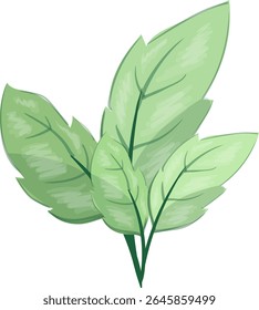 Folhas Twigs, fresco e bonito