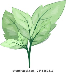 Folhas Twigs, fresco e bonito