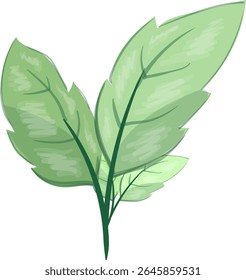 Folhas Twigs, fresco e bonito