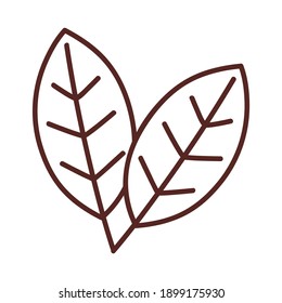 leaf with two leaves line style icon isolated design of Plant natural floral theme Vector illustration