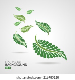 Leaf Vector