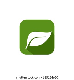 Leaf   Vector
