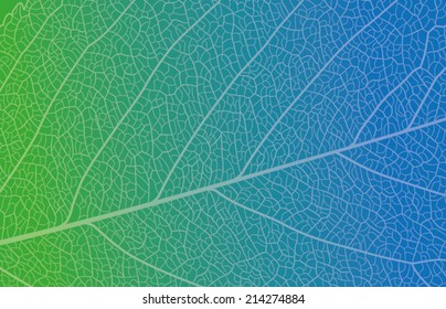 Leaf vector background