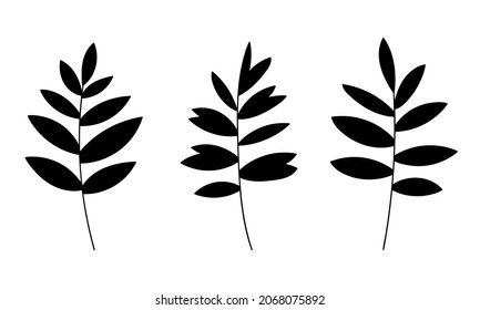 Leaf vector botanical illustration. Boho foliage line art. Christmas Forest greenery clipart.