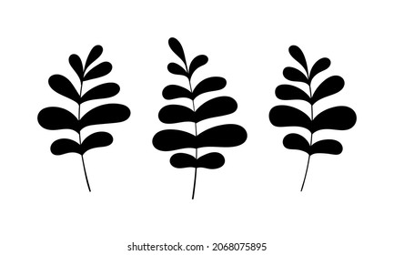 Leaf vector botanical illustration. Boho foliage line art. Christmas Forest greenery clipart.