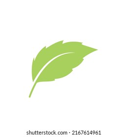 Leaf vector. Cartoon leaf icon on white background. Icon for web design, apps, sticker, banner, poster, printing usage and part of logo. 