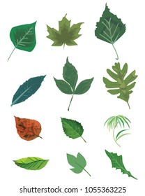 Leaf Vector, Clip Art, Symbol