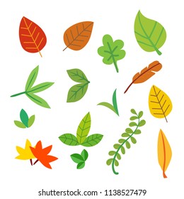 leaf vector collection design