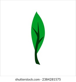 Leaf Vector Collection A variety of diverse and charming leaf vectors, High quality and visually attractive illustrations, representing various types of leaves, both printed and digital.