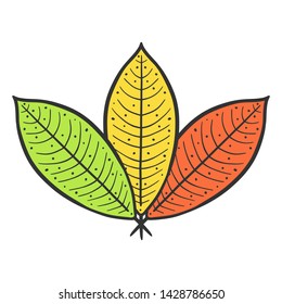 Leaf. Vector concept in doodle and sketch style. Hand drawn illustration for printing on T-shirts, postcards.