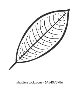 Leaf. Vector concept in doodle and sketch style. Hand drawn illustration for printing on T-shirts, postcards.