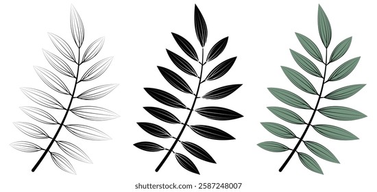 Leaf Vector. Delicate leaves line art. Nature inspired, Detailed, and versatile illustration for greenery, Eco, and botanical organic project. Fully scalable and customizable for print and digital.