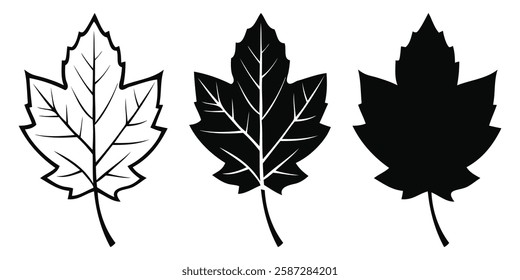 Leaf Vector. Delicate leaves line art. Perfect for nature, botanical, eco friendly, and organic design concepts. Fully scalable and customizable for print and digital.