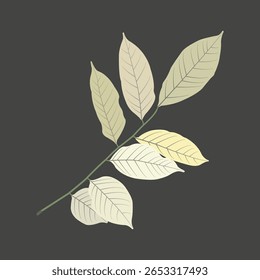 Projeto de vetor folha com cores brilhantes e artísticas.