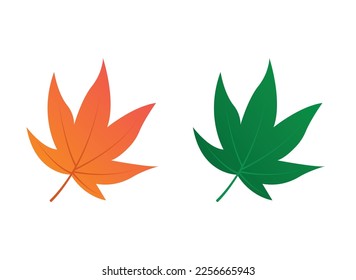 Leaf vector design and illustration.