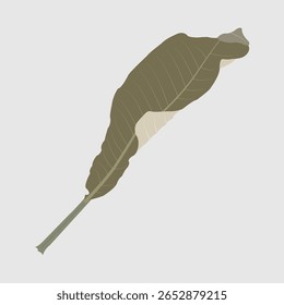 Leaf vector design inspired by the moment when leaves fall from trees with natural colors.