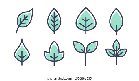 Leaf vector design line icon. Green line leaf plant outline symbol nature.
