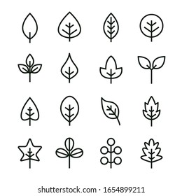 Leaf vector design line icon. Green line leaf plant outline symbol nature.