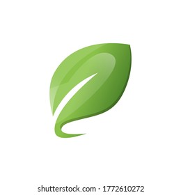 leaf vector design template illustration