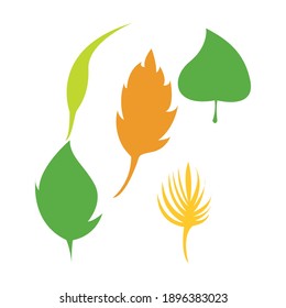 Leaf vector. Different shapes and colors of leaves, perfect for illustration, and various arts.