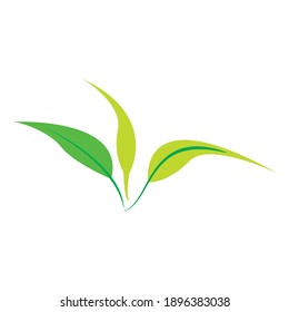 Leaf vector. Different shapes and colors of leaves, perfect for illustration, and various arts.