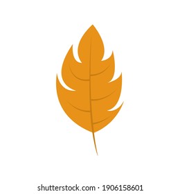 Leaf vector. Different shapes and colors of leaves, perfect for illustration, and various arts.