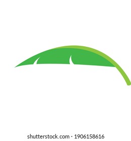 Leaf vector. Different shapes and colors of leaves, perfect for illustration, and various arts.