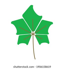 Leaf vector. Different shapes and colors of leaves, perfect for illustration, and various arts.