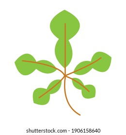 Leaf vector. Different shapes and colors of leaves, perfect for illustration, and various arts.