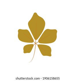 Leaf vector. Different shapes and colors of leaves, perfect for illustration, and various arts.