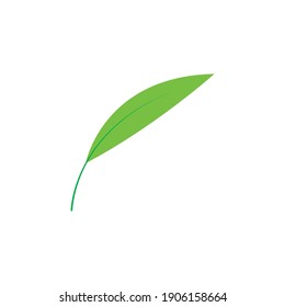 Leaf vector. Different shapes and colors of leaves, perfect for illustration, and various arts.