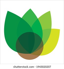 Leaf vector. Different shapes and colors of leaves, perfect for illustration, and various arts.